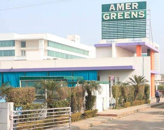 Amer Greens